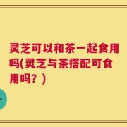 灵芝可以和茶一起食用吗(灵芝与茶搭配可食用吗？)
