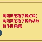 淘陌灵芝孢子粉好吗(淘陌灵芝孢子粉的功效和作用详解)