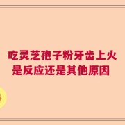 吃灵芝孢子粉牙齿上火 是反应还是其他原因