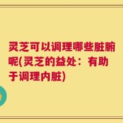 灵芝可以调理哪些脏腑呢(灵芝的益处：有助于调理内脏)