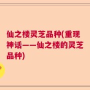仙之楼灵芝品种(重现神话——仙之楼的灵芝品种)