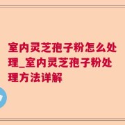 室内灵芝孢子粉怎么处理_室内灵芝孢子粉处理方法详解