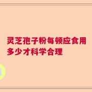 灵芝孢子粉每顿应食用多少才科学合理