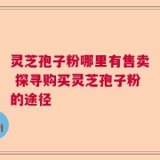 灵芝孢子粉哪里有售卖 探寻购买灵芝孢子粉的途径