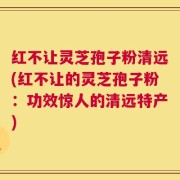 红不让灵芝孢子粉清远(红不让的灵芝孢子粉：功效惊人的清远特产)
