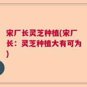 宋厂长灵芝种植(宋厂长：灵芝种植大有可为)