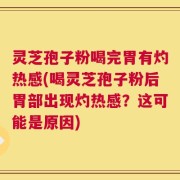 灵芝孢子粉喝完胃有灼热感(喝灵芝孢子粉后胃部出现灼热感？这可能是原因)