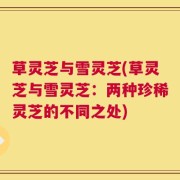 草灵芝与雪灵芝(草灵芝与雪灵芝：两种珍稀灵芝的不同之处)