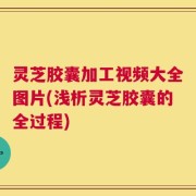 灵芝胶囊加工视频大全图片(浅析灵芝胶囊的全过程)