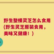 野生整棵灵芝怎么食用(野生灵芝原装食用，美味又健康！)