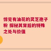 惊见有油花的灵芝孢子粉 探秘其背后的特殊之处与价值