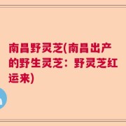 南昌野灵芝(南昌出产的野生灵芝：野灵芝红运来)