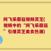 阿飞采蘑菇视频灵芝(视频中的“阿飞采蘑菇”引爆灵芝美食热潮)