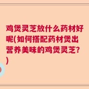 鸡煲灵芝放什么药材好呢(如何搭配药材煲出营养美味的鸡煲灵芝?)