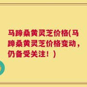 马蹄桑黄灵芝价格(马蹄桑黄灵芝价格变动，仍备受关注！)