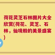 荷花灵芝石林图片大全欣赏(荷花、灵芝、石林，仙境般的美景盛宴)