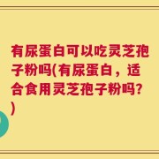 有尿蛋白可以吃灵芝孢子粉吗(有尿蛋白，适合食用灵芝孢子粉吗？)