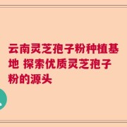 云南灵芝孢子粉种植基地 探索优质灵芝孢子粉的源头