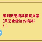 采到灵芝搞笑回复文案(灵芝也能这么搞笑？！)