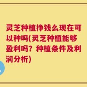 灵芝种植挣钱么现在可以种吗(灵芝种植能够盈利吗？种植条件及利润分析)