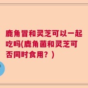 鹿角冒和灵芝可以一起吃吗(鹿角菌和灵芝可否同时食用?)