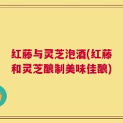 红藤与灵芝泡酒(红藤和灵芝酿制美味佳酿)
