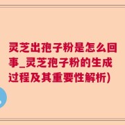 灵芝出孢子粉是怎么回事_灵芝孢子粉的生成过程及其重要性解析)