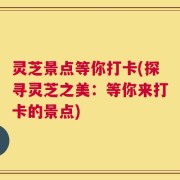 灵芝景点等你打卡(探寻灵芝之美：等你来打卡的景点)