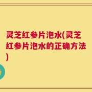 灵芝红参片泡水(灵芝红参片泡水的正确方法)