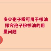 多少孢子粉可用于榨油 探究孢子粉榨油的用量问题