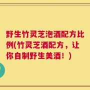 野生竹灵芝泡酒配方比例(竹灵芝酒配方，让你自制野生美酒！)