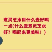 煮灵芝水用什么壶好喝一点(什么壶煮灵芝水好？喝起来更美味！)