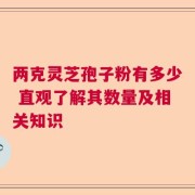 两克灵芝孢子粉有多少 直观了解其数量及相关知识