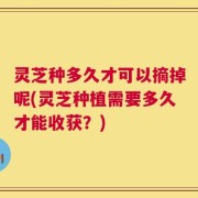 灵芝种多久才可以摘掉呢(灵芝种植需要多久才能收获？)