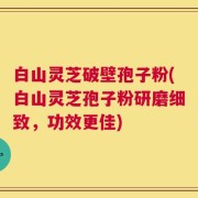白山灵芝破壁孢子粉(白山灵芝孢子粉研磨细致，功效更佳)