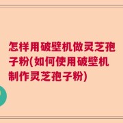 怎样用破壁机做灵芝孢子粉(如何使用破壁机制作灵芝孢子粉)