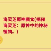 海灵芝原神图文(探秘海灵芝：原神中的神秘植物。)