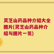 灵芝山药品种介绍大全图片(灵芝山药品种介绍与图片一览)