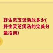 野生灵芝煲汤放多少(野生灵芝煲汤的完美分量指南)
