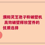 濮阳灵芝孢子粉破壁机 高效破壁释放营养的优质选择
