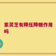 紫灵芝有降压降糖作用吗