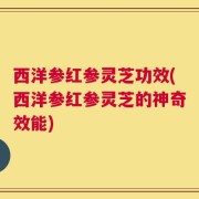 西洋参红参灵芝功效(西洋参红参灵芝的神奇效能)