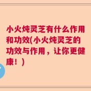 小火炖灵芝有什么作用和功效(小火炖灵芝的功效与作用，让你更健康！)