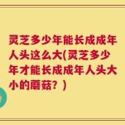灵芝多少年能长成成年人头这么大(灵芝多少年才能长成成年人头大小的蘑菇？)