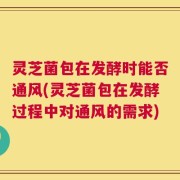 灵芝菌包在发酵时能否通风(灵芝菌包在发酵过程中对通风的需求)