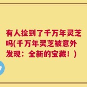 有人捡到了千万年灵芝吗(千万年灵芝被意外发现：全新的宝藏！)
