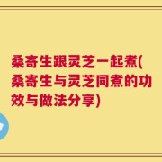 桑寄生跟灵芝一起煮(桑寄生与灵芝同煮的功效与做法分享)