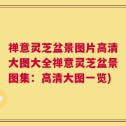 禅意灵芝盆景图片高清大图大全禅意灵芝盆景图集：高清大图一览)