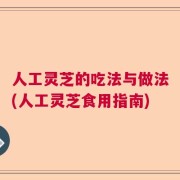 人工灵芝的吃法与做法(人工灵芝食用指南)