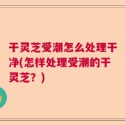 干灵芝受潮怎么处理干净(怎样处理受潮的干灵芝？)